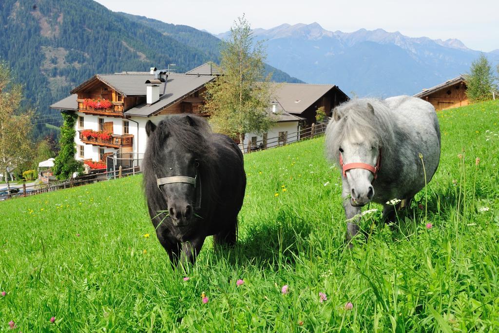 Hotel Kompatscherhof Luson Eksteriør billede